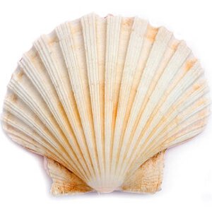 Beursberichten