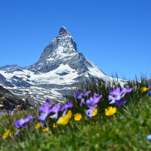 Beursberichten
