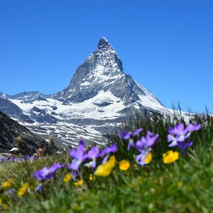 Beursberichten