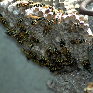 Beursberichten