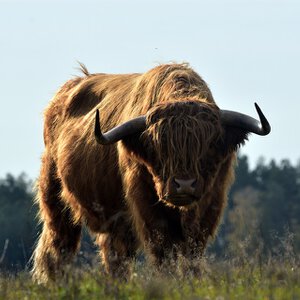 Beursberichten
